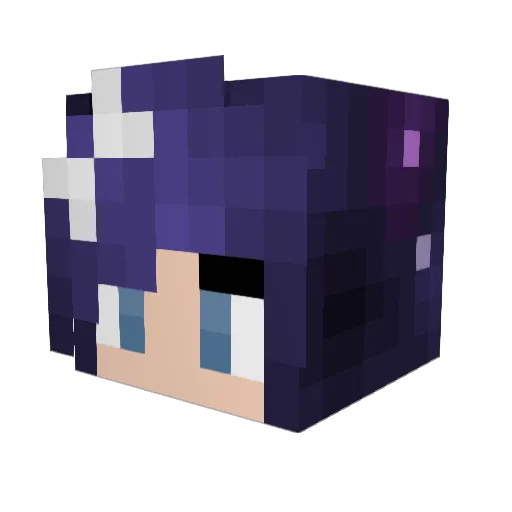 Greysky564 Minecraft avatar head, 3D render