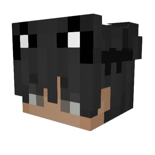 Greyson2021 Minecraft avatar head, 3D render