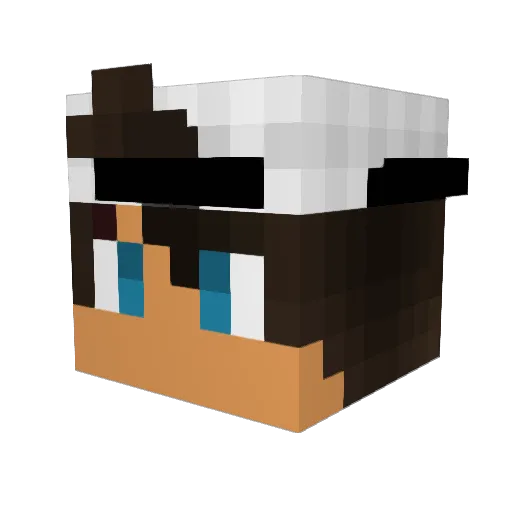 Greysonsmity24 Minecraft avatar head, 3D render