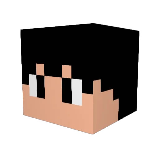 Greystar10 Minecraft avatar head, 3D render