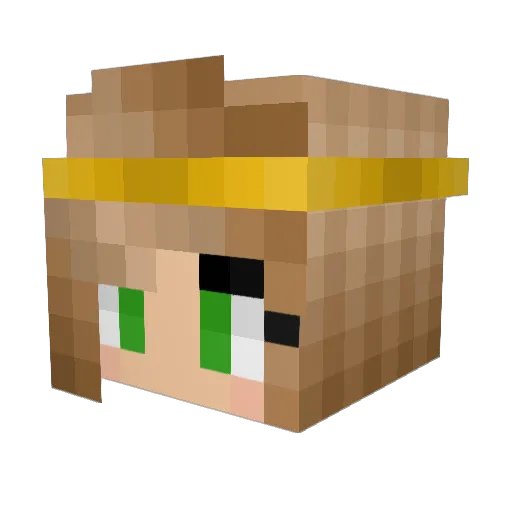 Greywolf13 Minecraft avatar head, 3D render