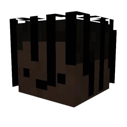 Gri3p Minecraft avatar head, 3D render