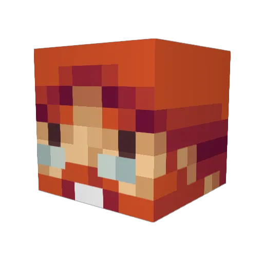 Griefer2454 Minecraft avatar head, 3D render