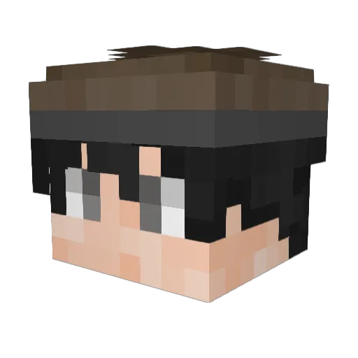 GrieferSchule Minecraft avatar head, 3D render
