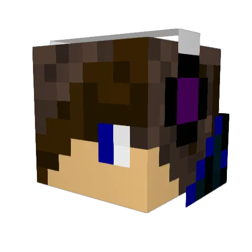 GriffenSword11 Minecraft avatar head, 3D render