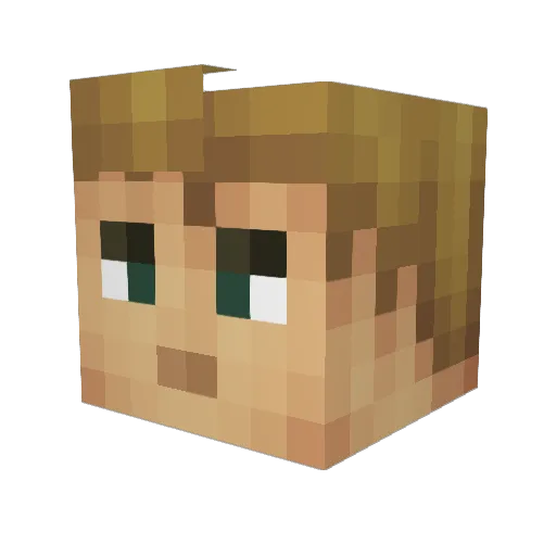 Griffin0991 Minecraft avatar head, 3D render