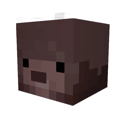 Griffin40 Minecraft avatar head, 3D render