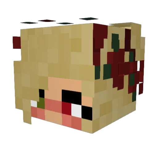 Griffin8 Minecraft avatar head, 3D render