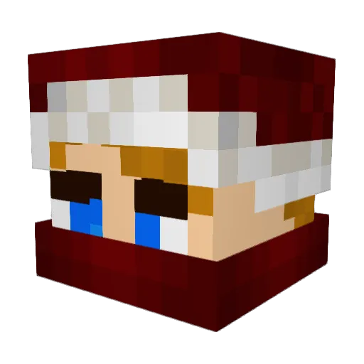 Griffles Minecraft avatar head, 3D render