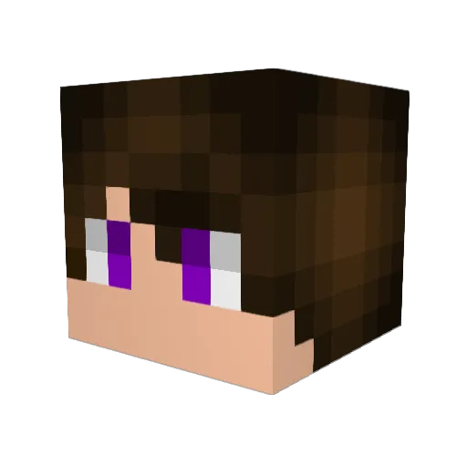 Griffon103 Minecraft avatar head, 3D render