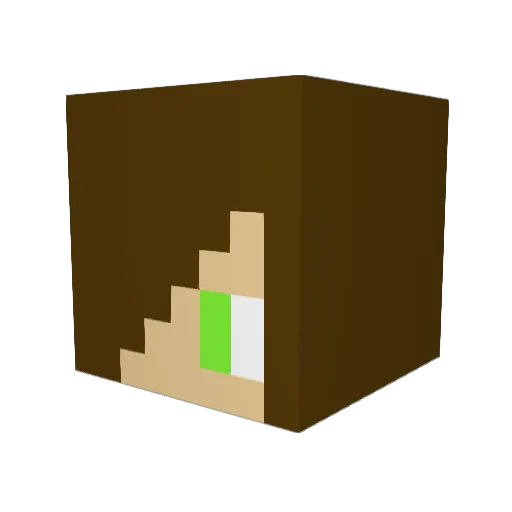 Griffy2127 Minecraft avatar head, 3D render