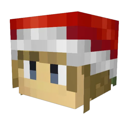 Griian Minecraft avatar head, 3D render