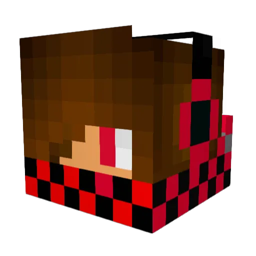 GrilledDucks Minecraft avatar head, 3D render