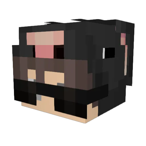 GrilledStuff Minecraft avatar head, 3D render