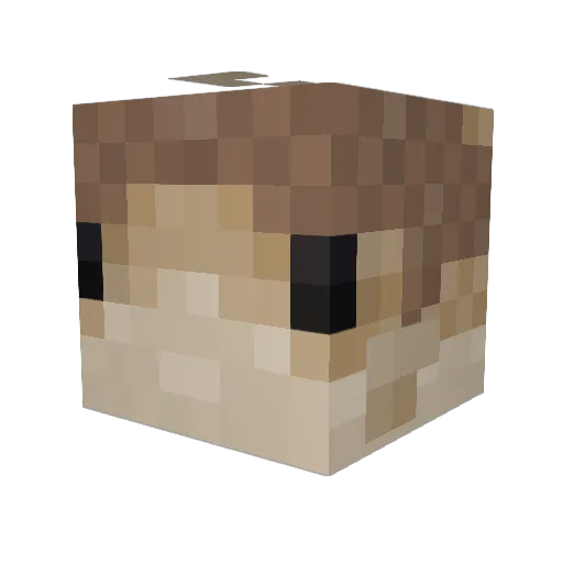 Grilled_Fish_Man Minecraft avatar head, 3D render