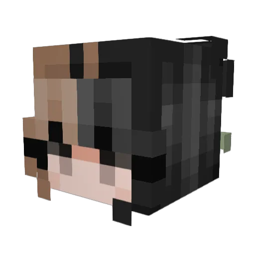 Grillexx Minecraft avatar head, 3D render
