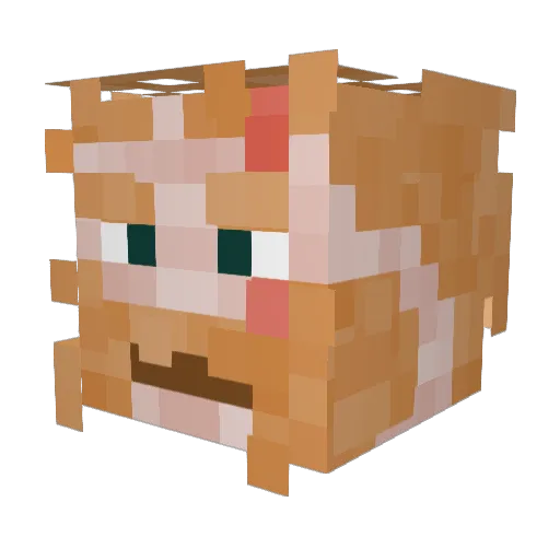 Grim_4 Minecraft avatar head, 3D render
