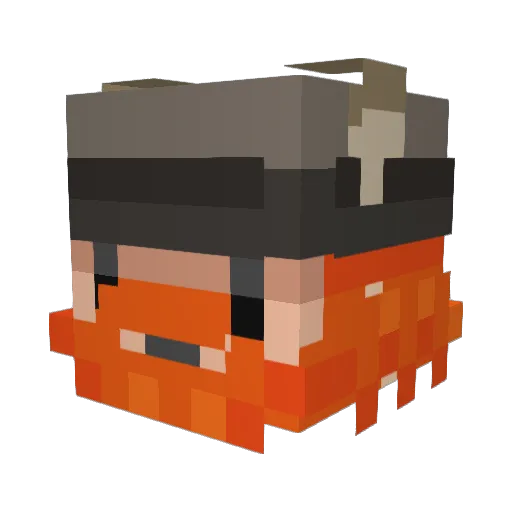 Grima421 Minecraft avatar head, 3D render