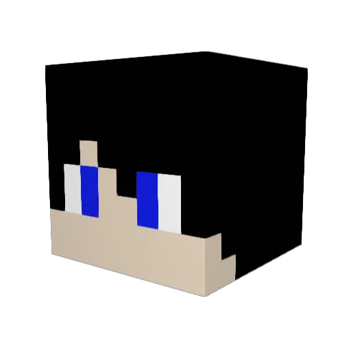 Gringo4469 Minecraft avatar head, 3D render