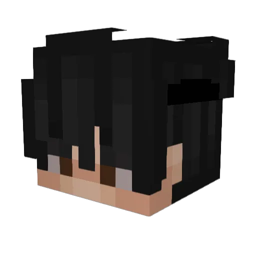 Grip11 Minecraft avatar head, 3D render