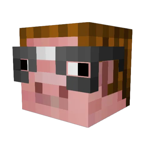 Gris23 Minecraft avatar head, 3D render