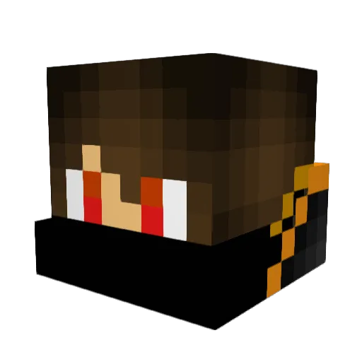Grisard2010 Minecraft avatar head, 3D render