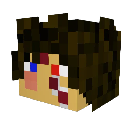 Grisu9112 Minecraft avatar head, 3D render