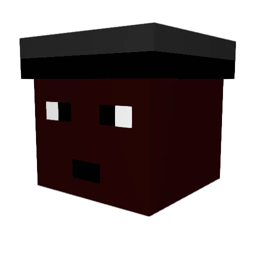 GrizzlyTheNinja Minecraft avatar head, 3D render