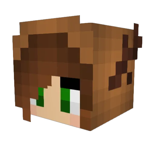 Grizzman Minecraft avatar head, 3D render