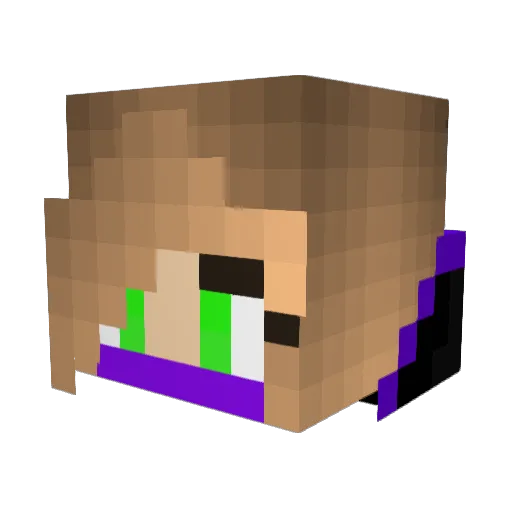 GrmpyHdghog Minecraft avatar head, 3D render