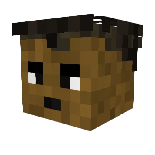 GrockFan Minecraft avatar head, 3D render