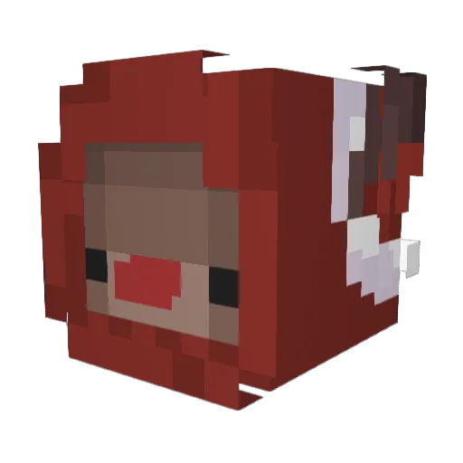 GroggySiren9511 Minecraft avatar head, 3D render