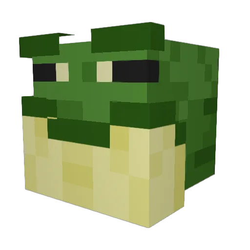 Grogster9966 Minecraft avatar head, 3D render