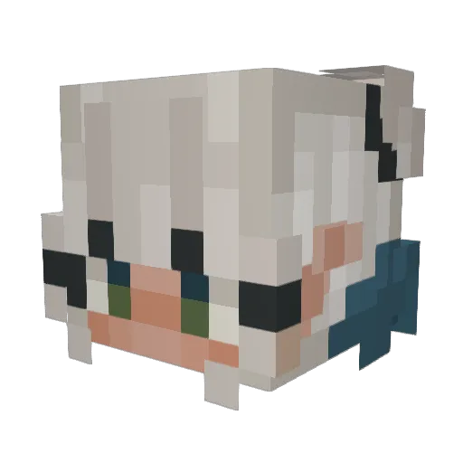 Grolith356 Minecraft avatar head, 3D render