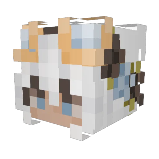 Gromit1258023 Minecraft avatar head, 3D render