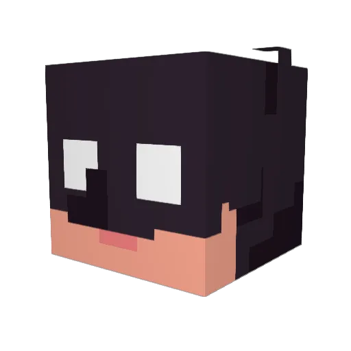 Groo419 Minecraft avatar head, 3D render