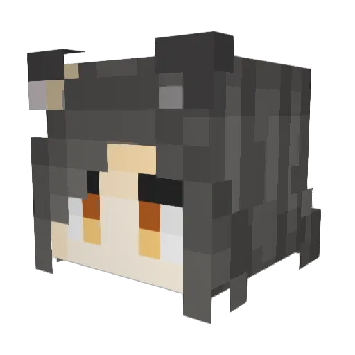 Groob22 Minecraft avatar head, 3D render