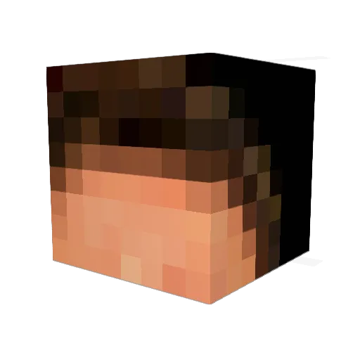 Gropaul Minecraft avatar head, 3D render