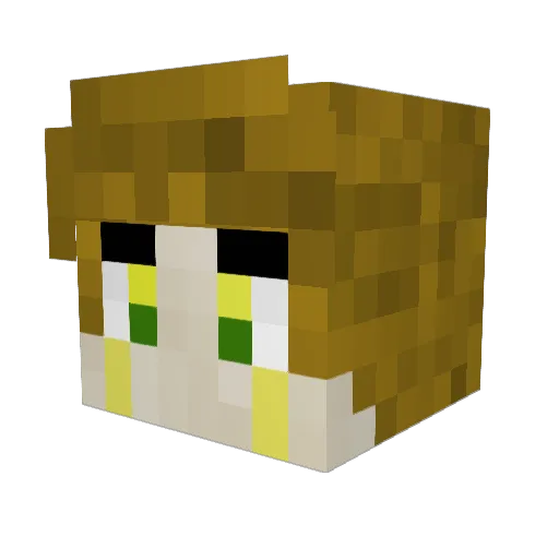 Gropima_21 Minecraft avatar head, 3D render