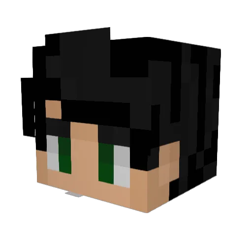 GrosPoissonG Minecraft avatar head, 3D render