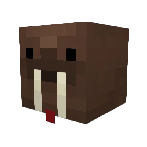 Grote_I Minecraft avatar head, 3D render