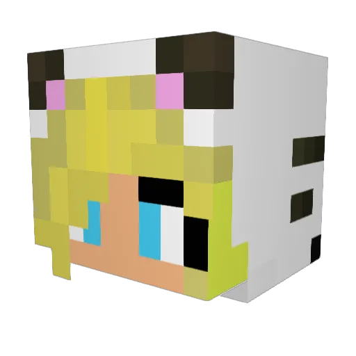 Grover251 Minecraft avatar head, 3D render