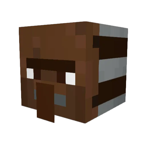 Grox202 Minecraft avatar head, 3D render