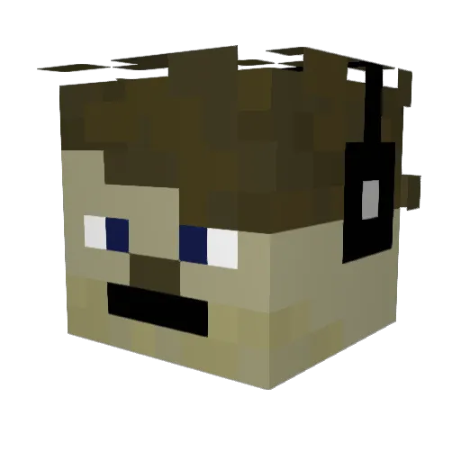 Grox_bet Minecraft avatar head, 3D render