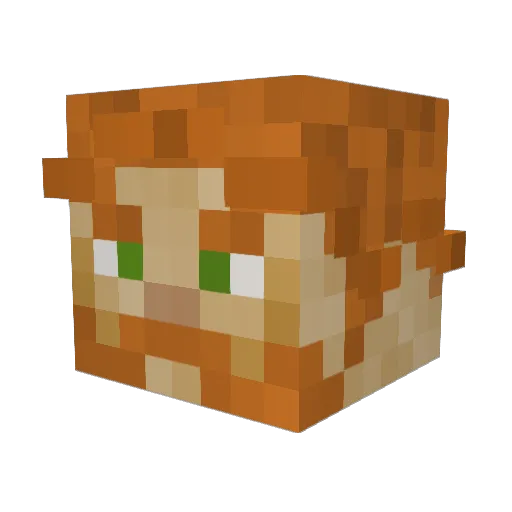 GrrpAA Minecraft avatar head, 3D render
