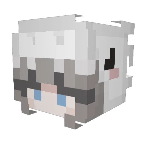 GrrrHaa Minecraft avatar head, 3D render