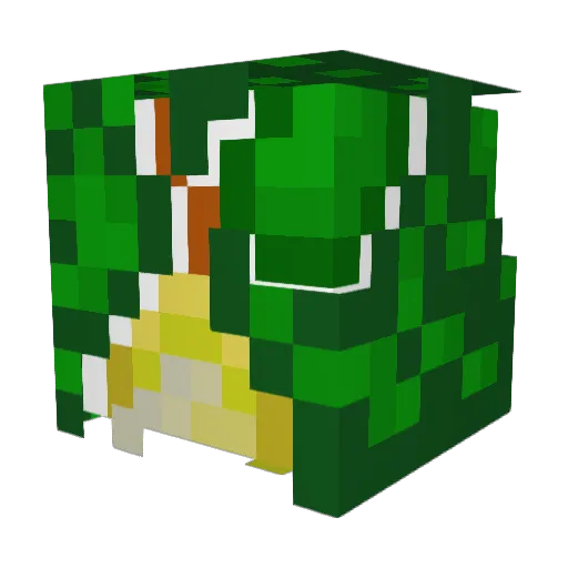 Grrrucha Minecraft avatar head, 3D render