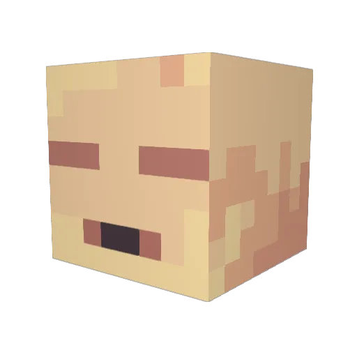 Gru1dae Minecraft avatar head, 3D render