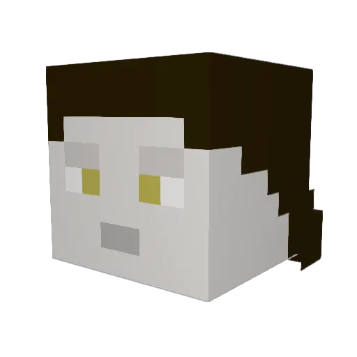 Grub20 Minecraft avatar head, 3D render
