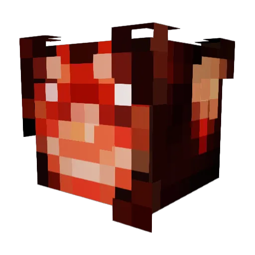 Grub__ Minecraft avatar head, 3D render
